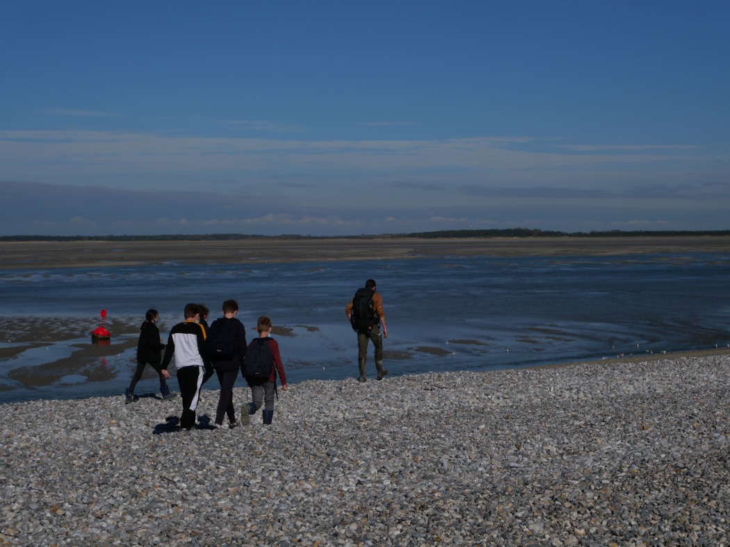 sorties guidées en baie de Somme pour des élèves