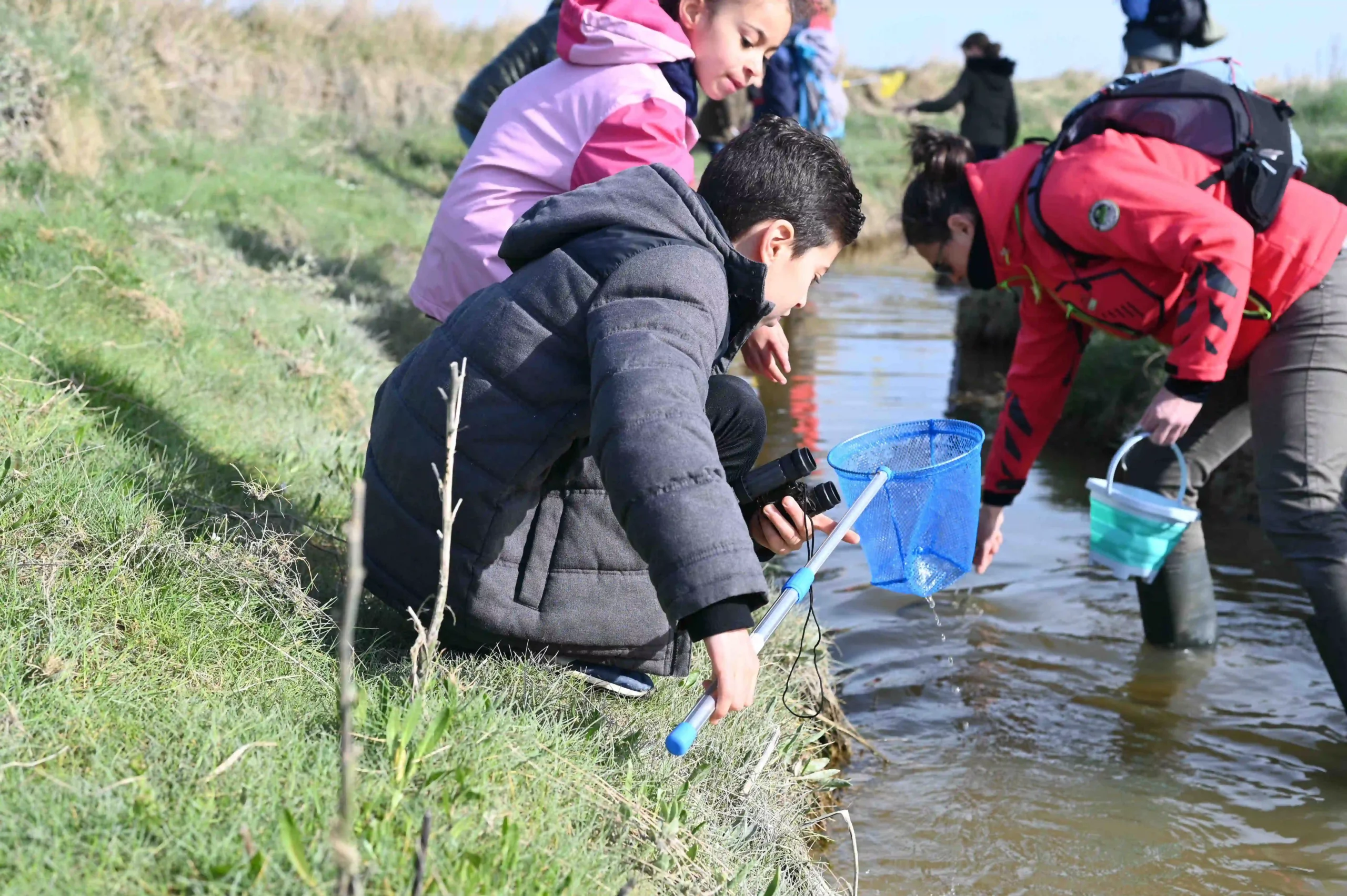 Enfants qui explorent la baie en autonomie au cours d'une sortie scolaire