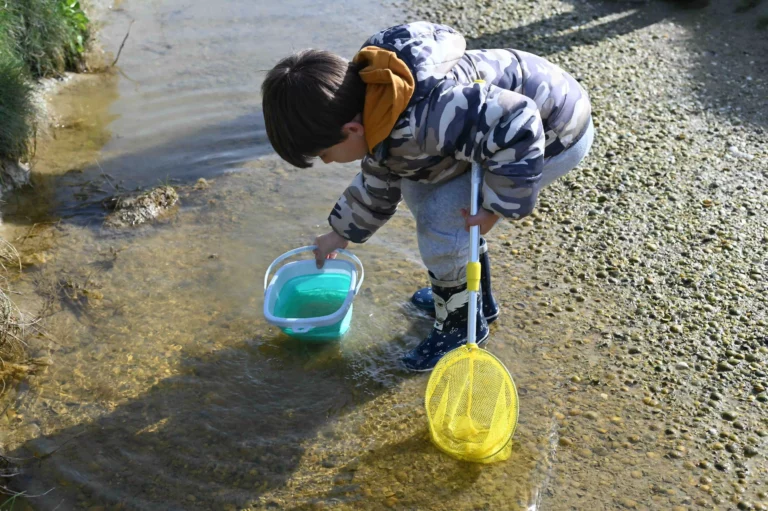 Enfants avec un seau et une épuisette qui explore les cours d'eau de la baie de Somme
