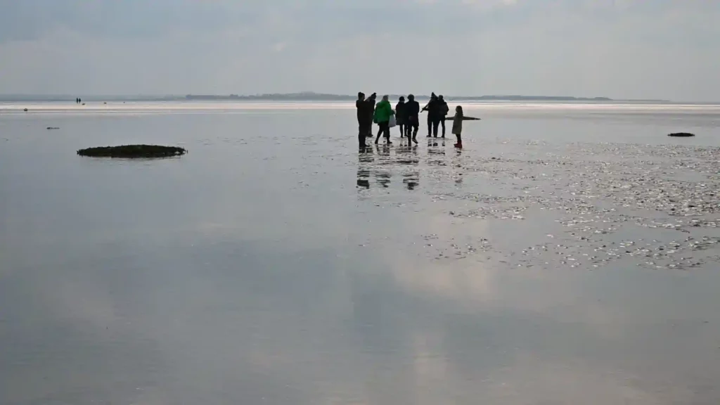 groupe dans la baie de Somme