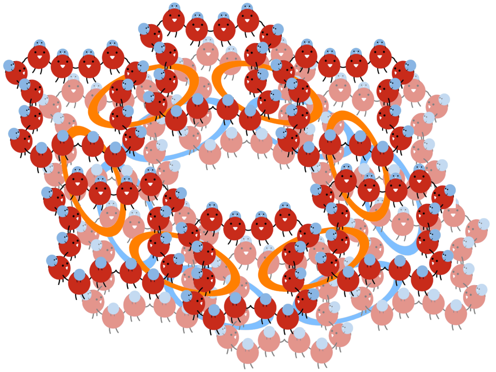 Hémoglobine arénicole - Elisa Basuyaux