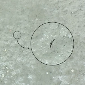 étoiles formées par les siphons qui permettent aux scobiculaires de se nourrir à marée basse