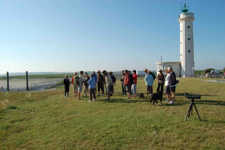 Départ de sortie nature avec un chien au Hourdel