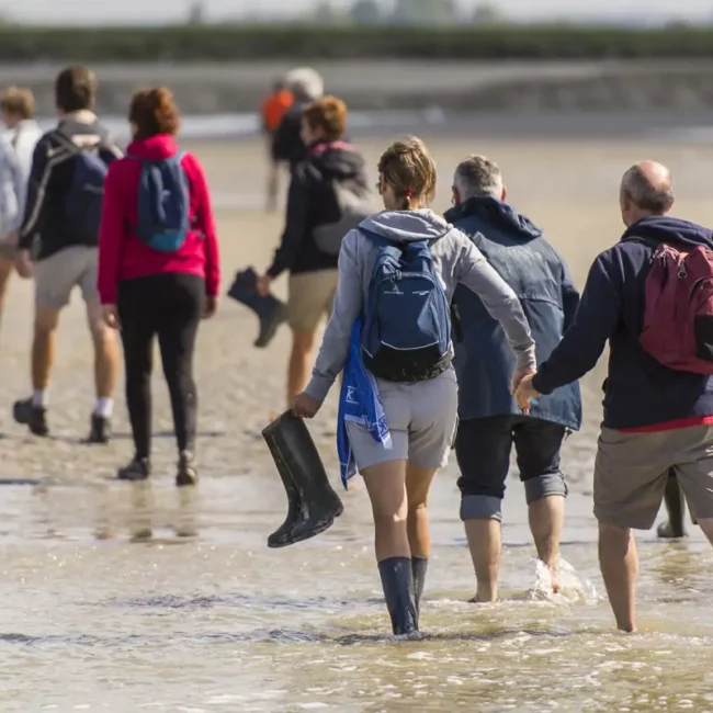 Groupe qui traverse un court d'eau pendant la traversée de la baie de Somme