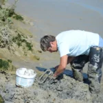 Reinette, pêcheur à pied de la baie de Somme qui ramasse des vers dans la vase