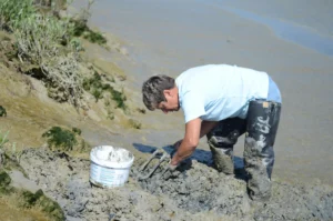 Reinette, pêcheur à pied de la baie de Somme qui ramasse des vers dans la vase