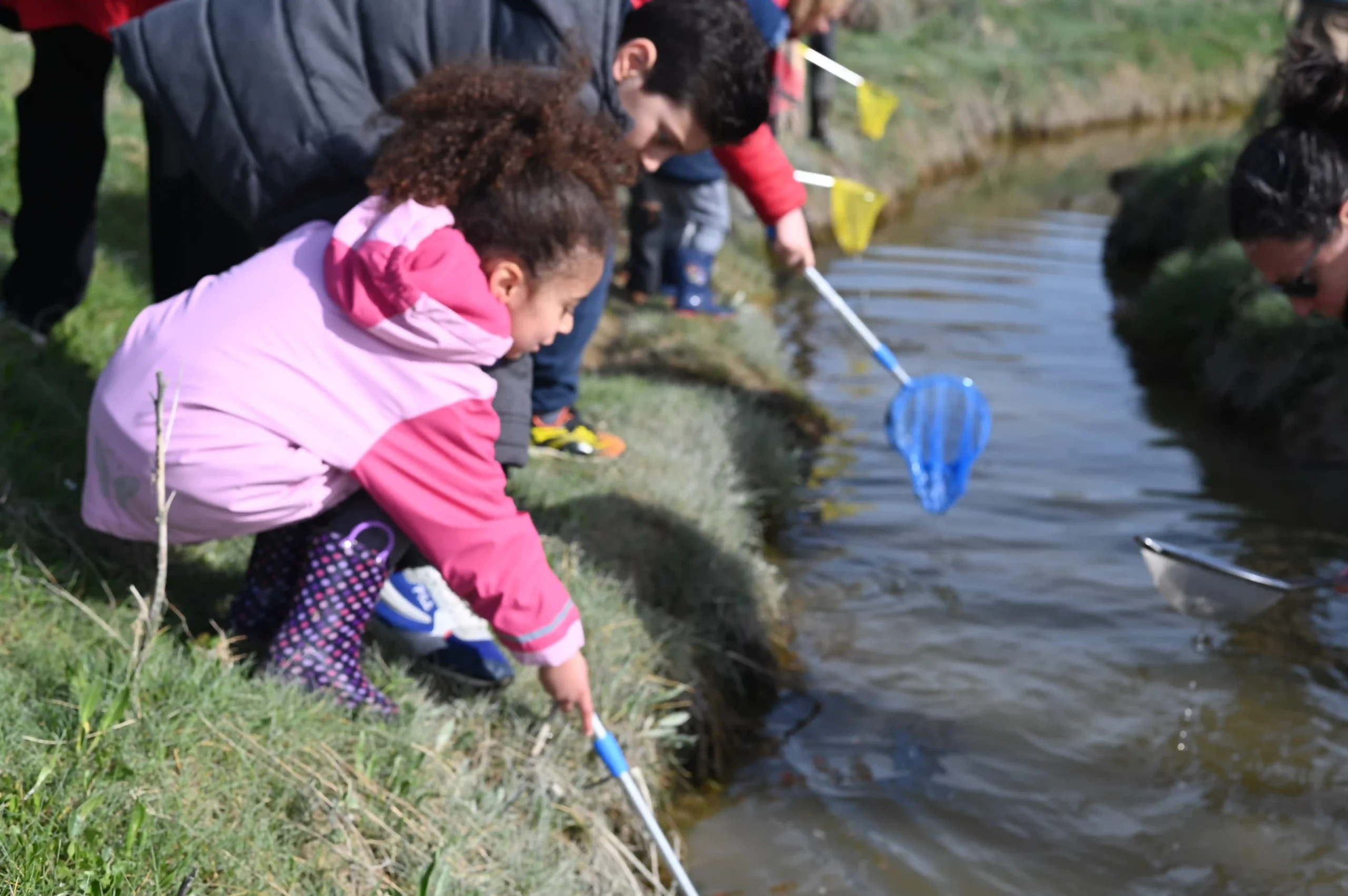 Enfants en sortie petits explorateurs de la baie en baie de Somme