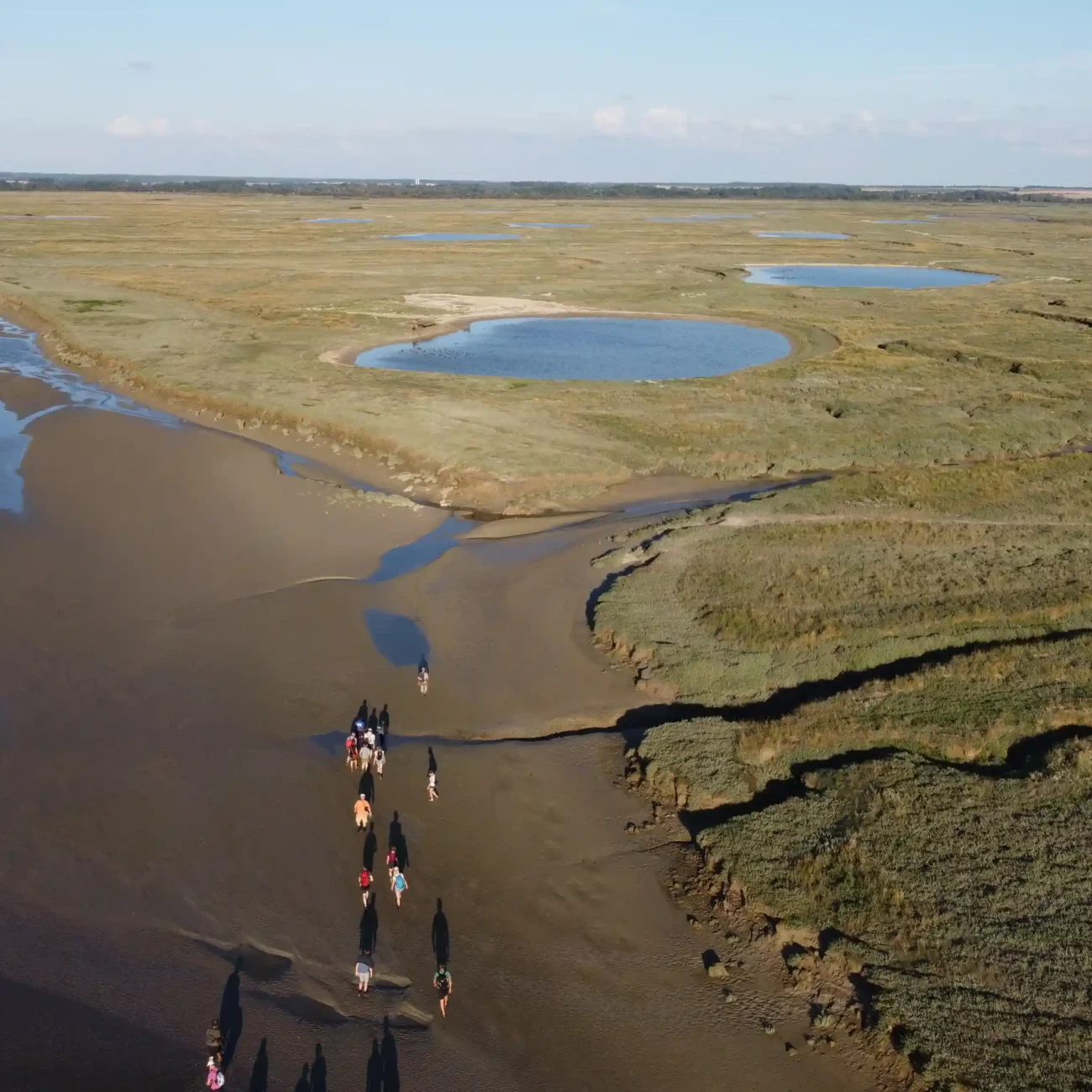 Groupe en visite guidée "Traversée de la baie de Somme" vu du ciel