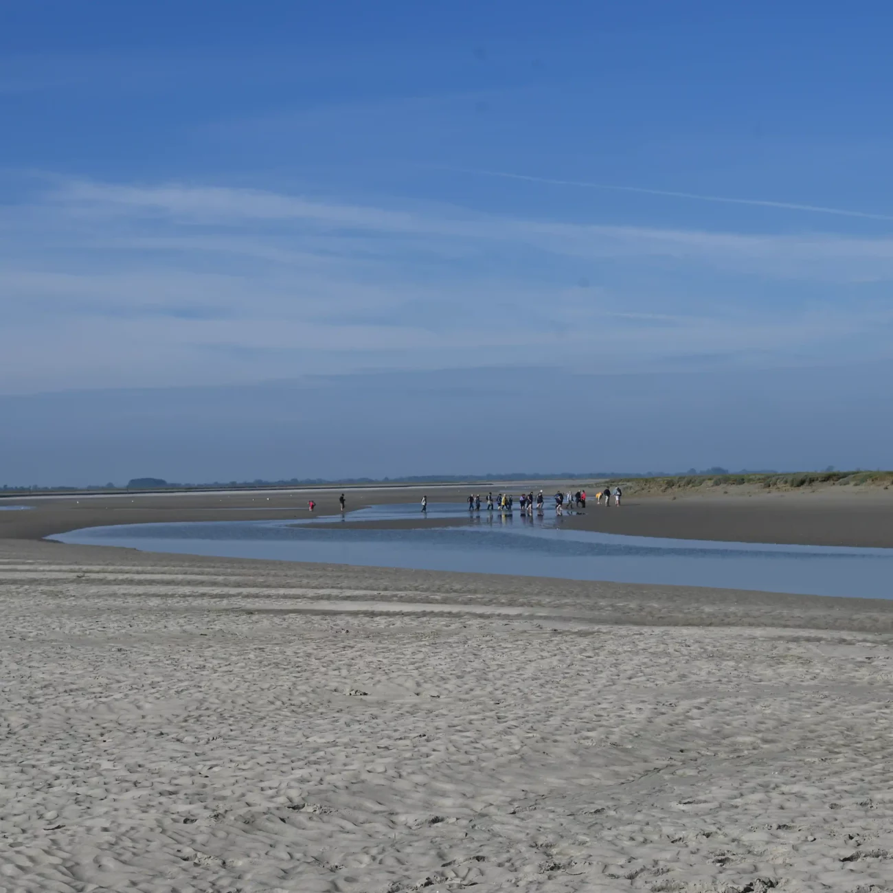 Groupe de randonneurs au loin au cours du traversée de la baie de Somme Grand Format